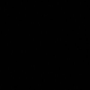 Meet your Posher, Josie